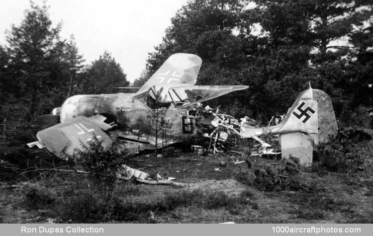 Focke-Wulf Fw 190 F-3