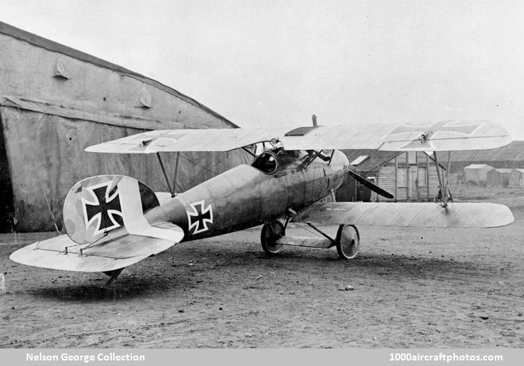 Albatros L 24 D.V