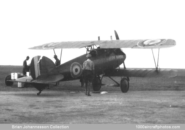 Albatros L 20 D.III