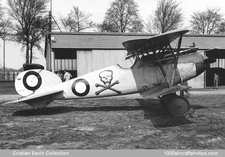 Albatros L 24 D.V