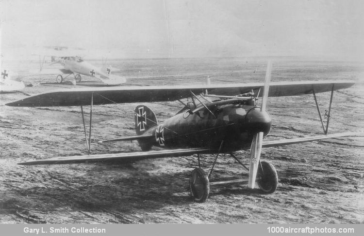 Albatros L 24 D.V