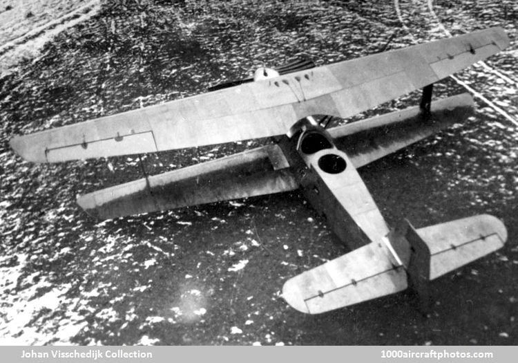 Albatros L 65