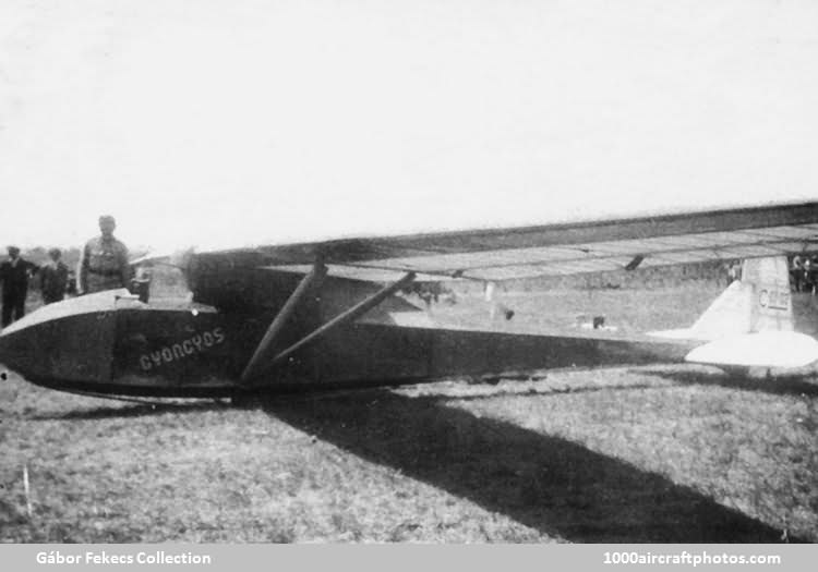 Deutsches Forschungsinstitut f�r Segelflug Professor